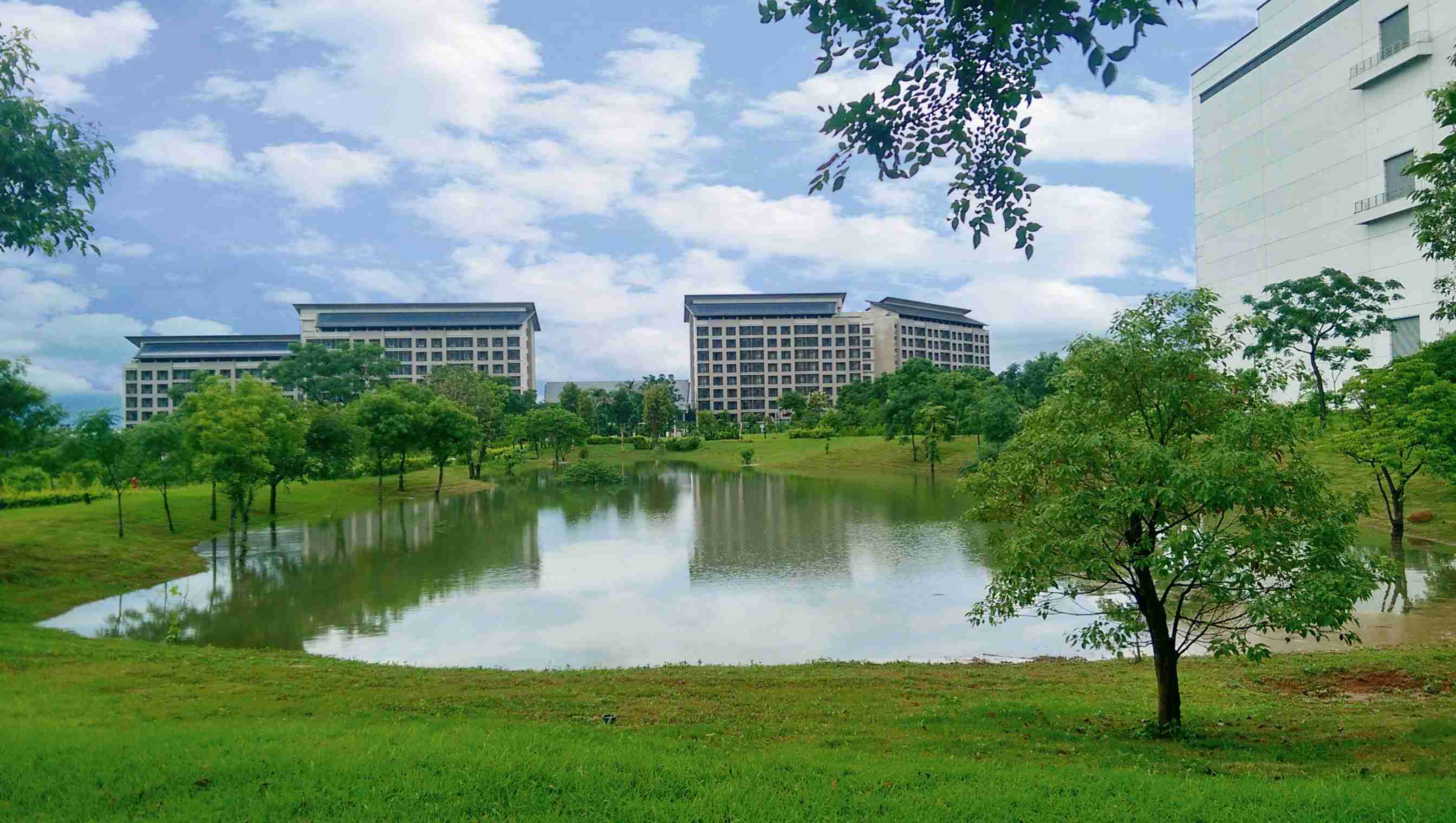 NG大舞台响应国际倡议生物多样性趋势，，，首次发布TNFD自然相关财务揭露报告书，，，，擘划及开展NG大舞台生物多样性政策之承诺，，，逐步迈向与自然和谐共生